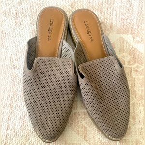 Indigo Rd. Flats - 6M